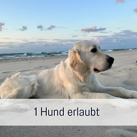 3 App Duenengarten 58 Апартаменты