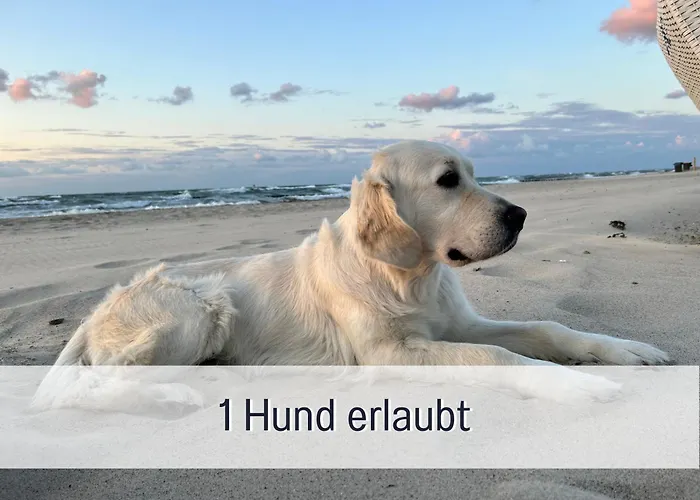 3 App Dünengarten 58 Apartment